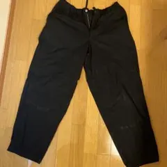 THE NORTH FACE コットンクロスクライミングパンツ NB32404