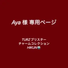 Aya様専用ページ
