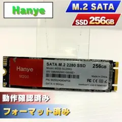 Hanye M.2 SATA SSD 256GB 本体【0133】