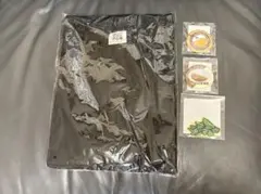 カレーハウスCoCo壱番屋 くじ B賞 B-3 Tシャツ ブラックなど