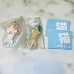 「猫 釣れました。」2個セット