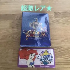 激レア★カリフォルニアディズニー50周年フォトアルバム★アリエルナンバープレート