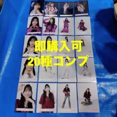 向井純葉　櫻坂46 ランダム生写真　20種コンプ　最新のサムネイル