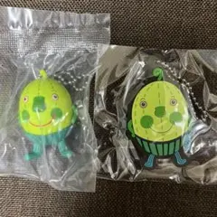 ナンジャモンジャ　キーホルダー＆ラバーキーホルダー　一番良い時期のキウイ