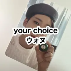 seventeen your choice トレカ ウォヌ