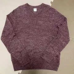 GAP Vネックセーター