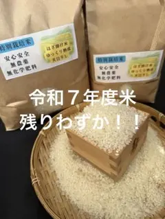 【美味しい白米5キロ】農薬化学肥料不使用 はざ掛け天日干し コシヒカリ 令和7年のサムネイル