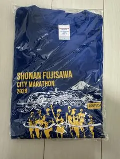 Item thumbnail for item ac53a371-5d76-49ce-bb51-8cedb146db4e