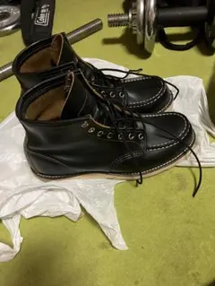 レッドウイング　9874のサムネイル