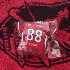 ファジアーノ岡山　#88 山根永遠選手　ユニフォームクッション