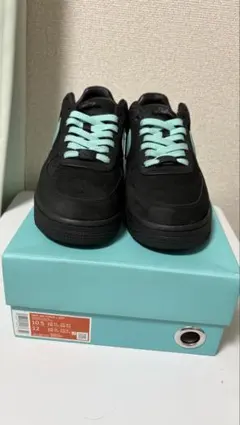 Tiffany & Co. × Nike Air Force1 28.5cm