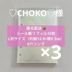 ♡CHOKO♡様シール帳 リフィル 30枚 6穴リング ホログラム ②-8