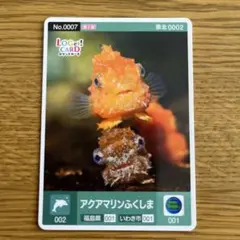 ロゲットカード　アクアマリンふくしま　1枚