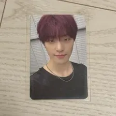 ディノ Your Choice 一直娱 プレオーダー トレカ