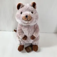 Sunlemon Fluffies クオッカ L ぬいぐるみ　サンレモンのサムネイル