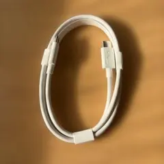 USB-C 充電ケーブル ホワイト
