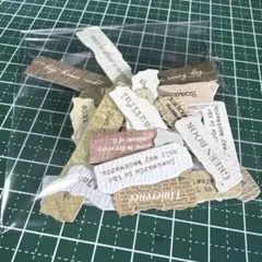 Item thumbnail for item 1484fd44-570f-4102-a7e4-29b56a77abe4