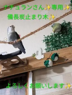 備長炭止まり木⭐️パーチ⭐️止まり木⭐️専用です(*゜∀゜*) - メルカリ