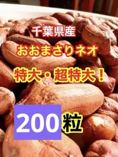 2026年最新】おおまさりネオ 種の人気アイテム - メルカリ