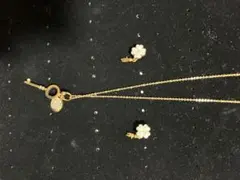 Folli Follieネックレスとピアスセット　中古品