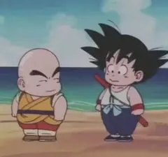 ドラゴンボールうどん札コンプリート 16種(第1弾) 丸亀製麺