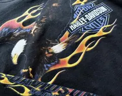レア 90s ハーレーダビッドソン イーグル フレイム ファイヤー ロンT