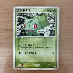 2026年最新】ポケモンカード フシギダネ 051/ADV-P 明治 meijiの人気