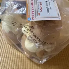 一番くじポケモン Sunny picnic ラストワン賞 イーブイぬいぐるみ