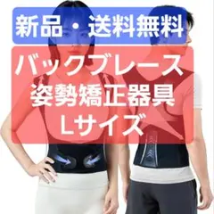 姿勢矯正 バックブレース L⭐A③-143
