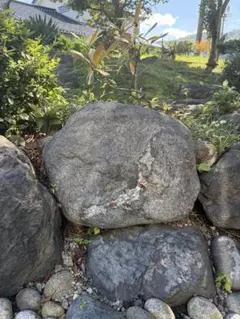 現地引取限定】高級庭石 三波石（青石）伊予青石 結晶片岩 景石 搬出