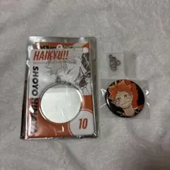 ハイキュー 缶バッジ&特製ホルダーコレクション 第2弾 烏野高校 日向翔陽