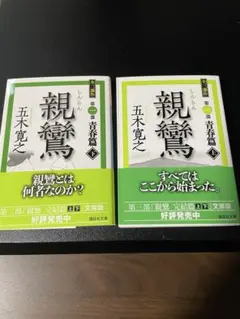 Item thumbnail for item 570f08b2-e5df-4dfc-b7f9-f02e64610681