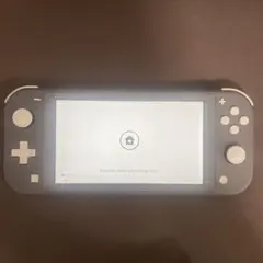 Nintendo Switch Lite グレー 本体