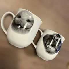 Item thumbnail for item 197fe040-f4c8-41dc-a007-5c3630b54b8c