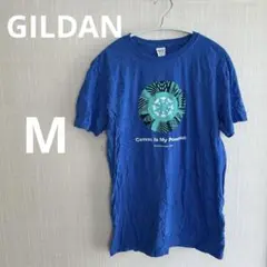 GILDAN グラフィックプリント Tシャツ Mサイズ 青