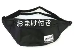 Item thumbnail for item 983d0e68-5ea0-433c-92c9-d5dd3900148c