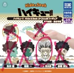 ハイキュー!! 梟谷 赤葦京治 Hide&Seek かくれんぼフィギュア - メルカリ
