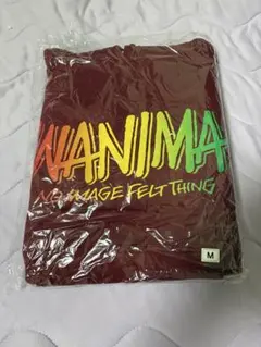 WANIMA NO IMAGE FELT THING パーカー Mサイズ