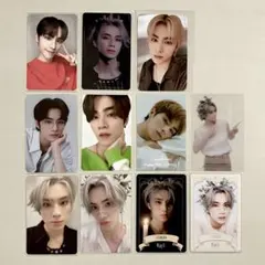 トレカ シャオジュン