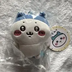 ハチワレ スポーツ刈り