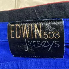 EDWIN 503 ジャージーズ ブルー