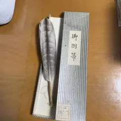 Item thumbnail for item e5d6a606-73f3-42a9-93de-9441fb63b140