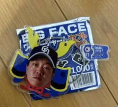 中日ドラゴンズ BIG FACE ワイヤーチャーム カブトver 柳裕也