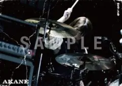 2026年最新】band-maid ポスターの人気アイテム - メルカリ