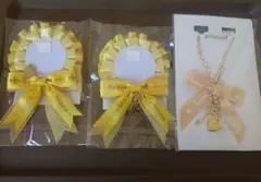 Item thumbnail for item a1bc0840-035c-4b61-8f5a-4a82f654a765