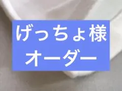 Item thumbnail for item 5975cfc6-1335-4166-8f7a-3b250bf09c1f