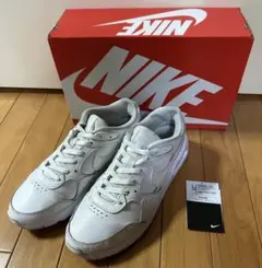 Item thumbnail for item f27db198-4fea-43a8-8ae5-972a83d66c67