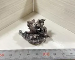 スモーク透明恐竜置物 - メルカリ