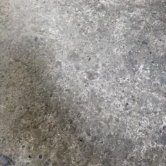 一部返金