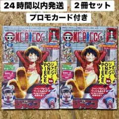 ワンピースマガジン　vol.20 ルフィ　付録プロモカード付き　2冊